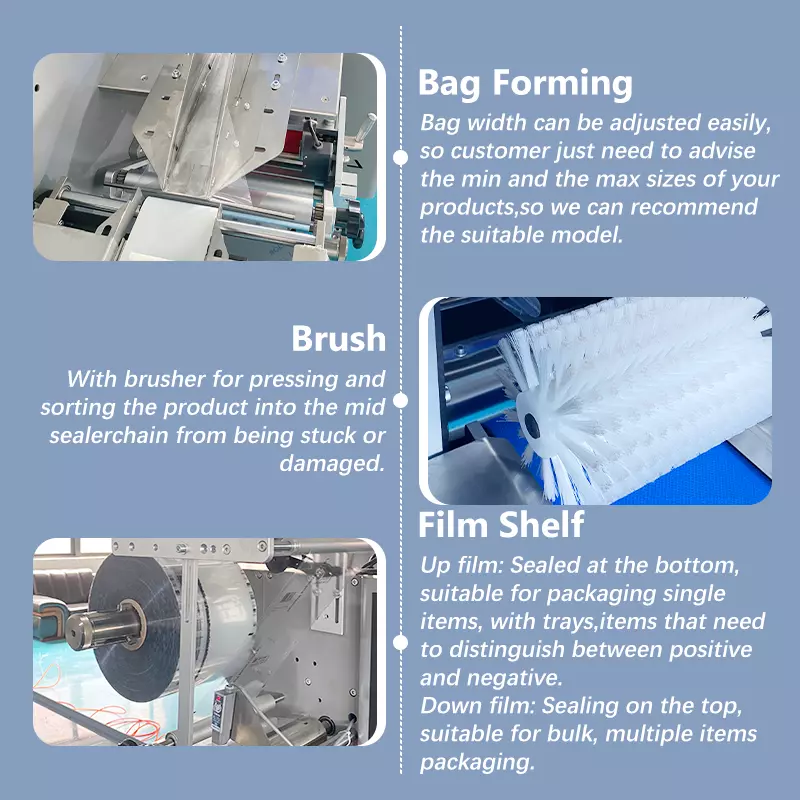 xx